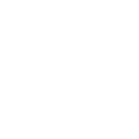 Youtooz Collectibles
